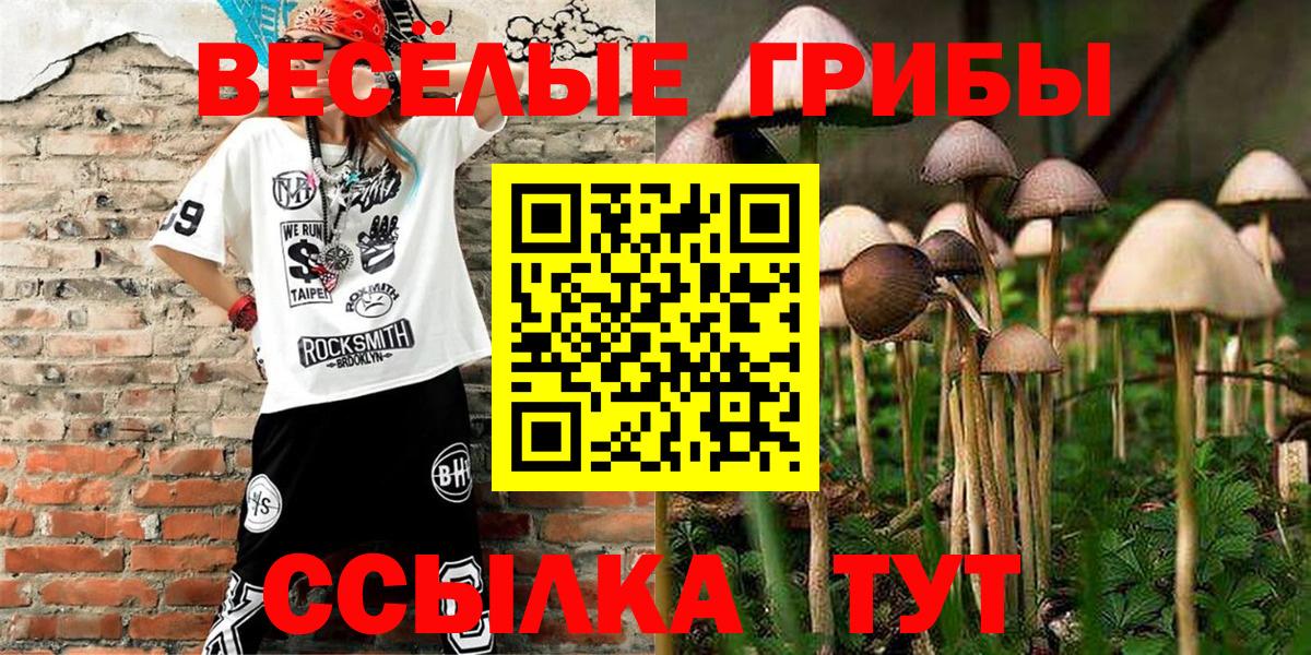 Галлюциногенные грибы прущие грибы Хасавюрт