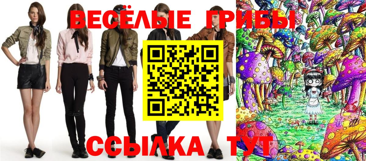 Хасавюрт  Псилоцибиновые грибы Psilocybine cubensis  Вход с VPN 